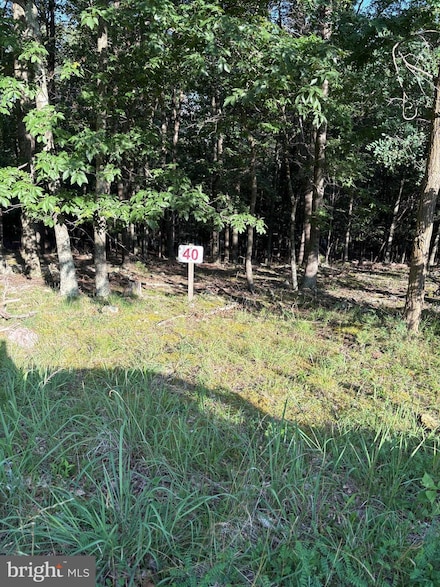 Lot 40 Berenger Dr, Petersburg, WV 26847