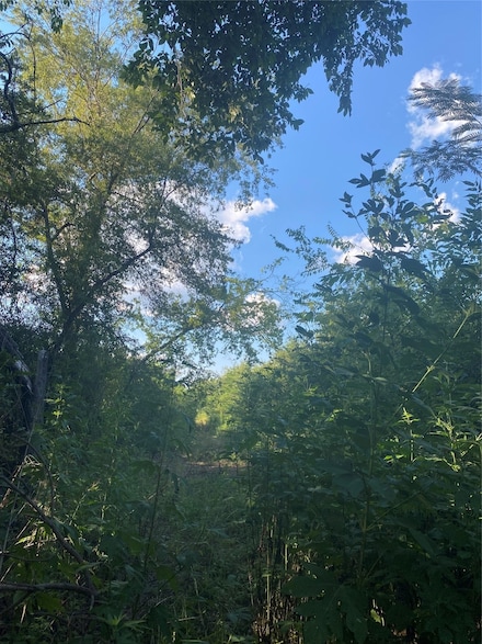 LOT 54 Harris St, Sulphur Springs, TX 75482