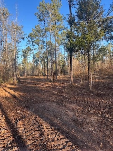 1802 Mulberry Rd, Sulligent, AL 35586