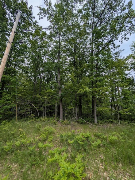 124 Brandywine Dr, Roscommon, MI 48653