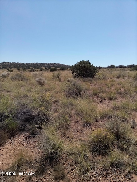 8875 Juniper Berry Trail, Snowflake, AZ 85937