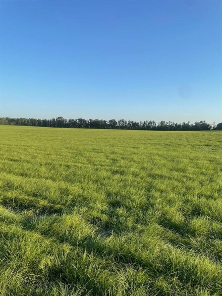 LOT 1 NW 72nd Place, Bell, FL 32619