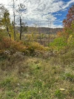 911 12th St, Moundsville, WV 26041