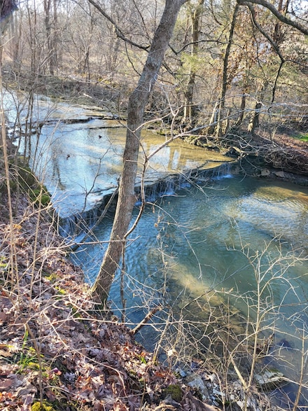 88 Persimmon Ridge Rd, Carlisle, KY 40311