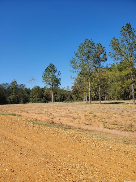 Lot 3 Young Pines, Rison, AR 71665