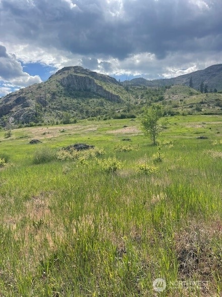 4 Black Canyon Rd, Pateros, WA 98846