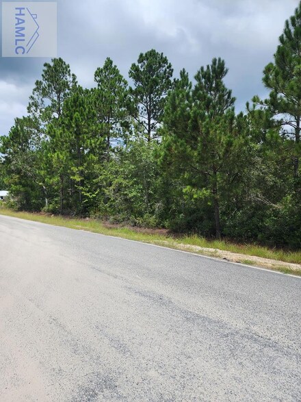 Lot #1 Freedman Grove Rd, Midway, GA 31320