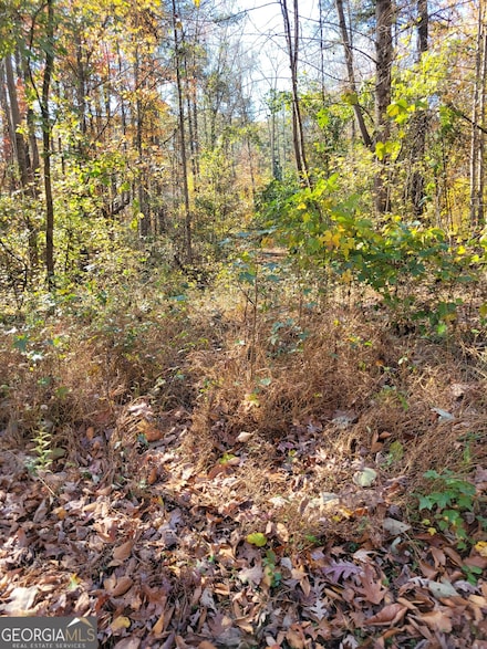 5878 Bentley Rd, Cumming, GA 30040