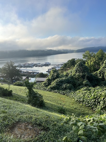 780 Cedar Hill Rd, Celina, TN 38551