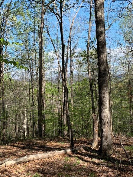 . Thompson Ridge Rd, Ferrum, VA 24088