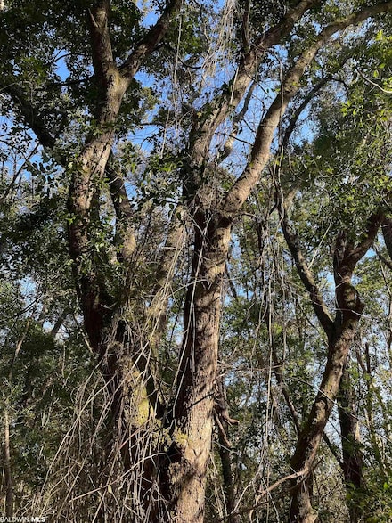 0 Hurricane Blvd Unit 341092, Irvington, AL 36544