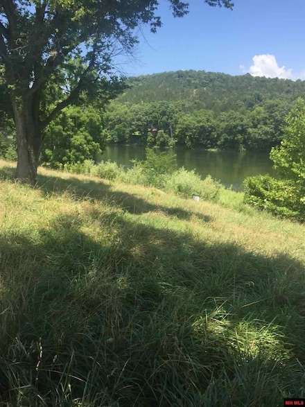 Lot 45 Wet Fly Ct, Flippin, AR 72634