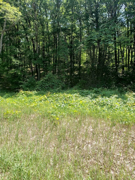Lots 6 & 7 Townline Lake Rd, Harrison, MI 48625