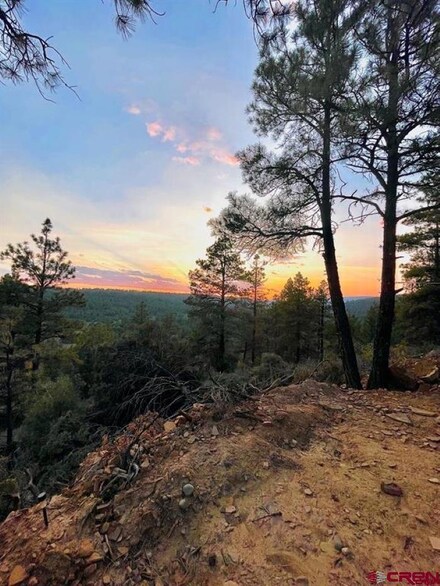 381 & 371 & 333 Cat Creek Overlook, Pagosa Springs, CO 81147