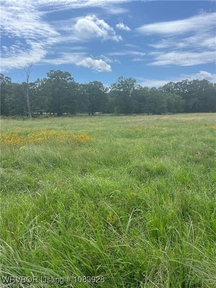 Tract 18 Bean Patch Loop, Howe, OK 74940