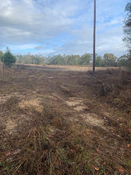 0 County Road 1101, Troy, AL 36079