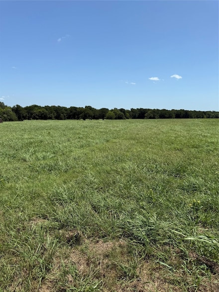 TBD Lot 7 County Road 3811, Wills Point, TX 75169