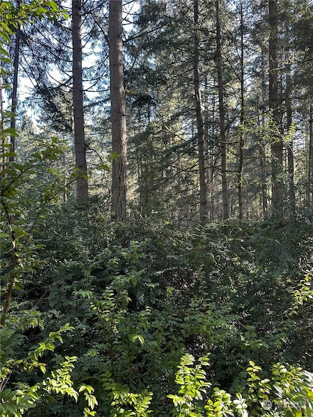 11321 Lake Josephine Blvd, Anderson Island, WA 98303