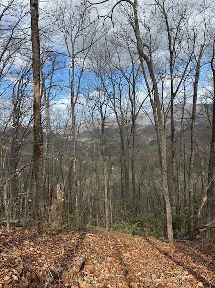 00 E Wabash Dr, Sylva, NC 28779