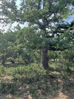 0 Jerald Rd Unit 97809, Fredericksburg, TX 78624