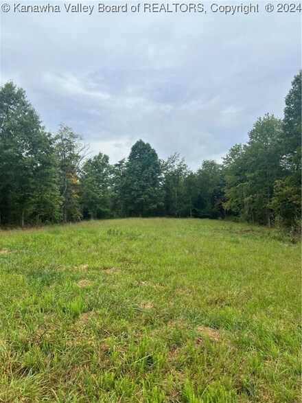 0 Mud Run Rd, Cottageville, WV 25271