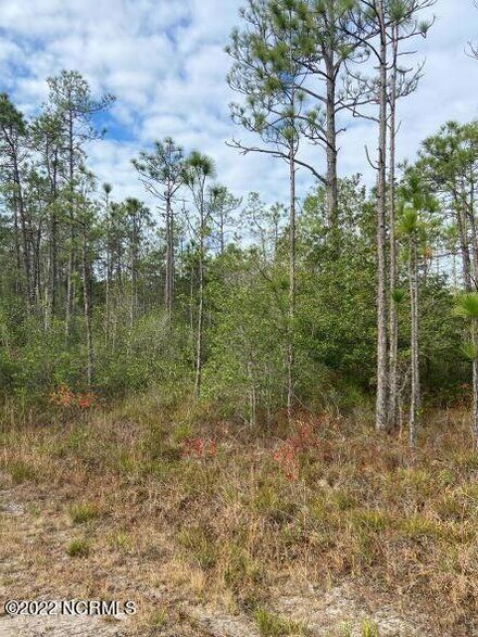 745 Gibralter Rd, Boiling Spring Lakes, NC 28461