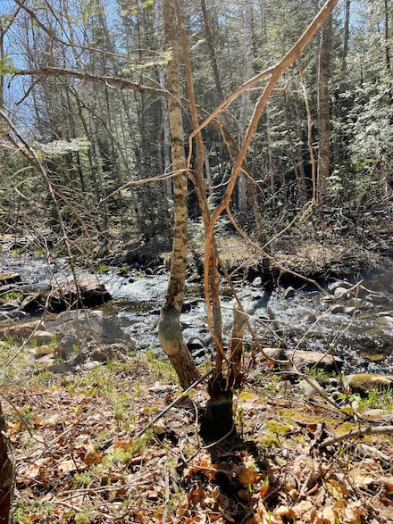 00 West Rd, Solon, ME 04979