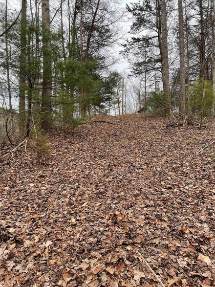 0 Bethlehem Rd Unit 901420, Boones Mill, VA 24065