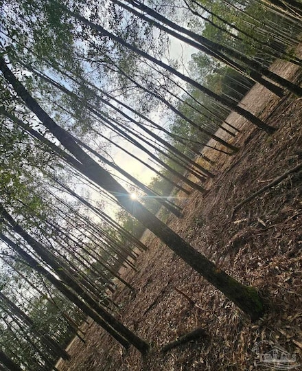 5810 Ln, Milton, FL 32570