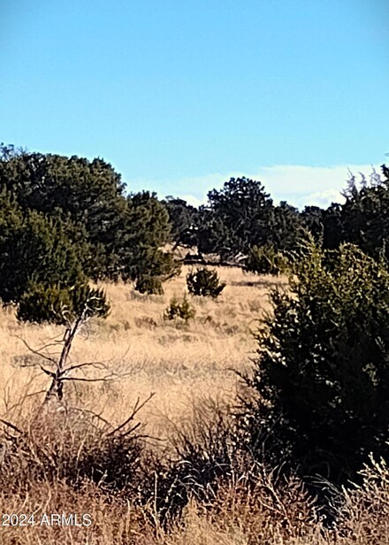 Lot 276 Elk Valley Ranch -- Unit 276, Saint Johns, AZ 85936