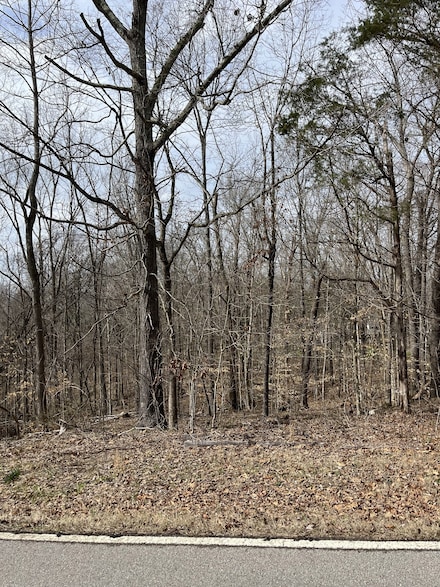 0 Ussery Rd S, Clarksville, TN 37040