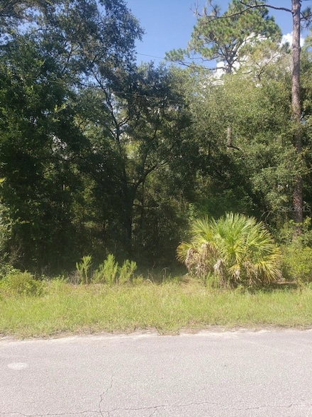2949 W Grapevine Ct, Dunnellon, FL 34433