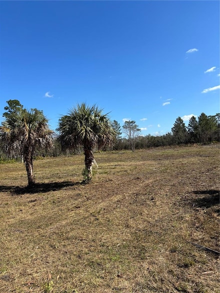 18456 Quiet Rd, Brooksville, FL 34614