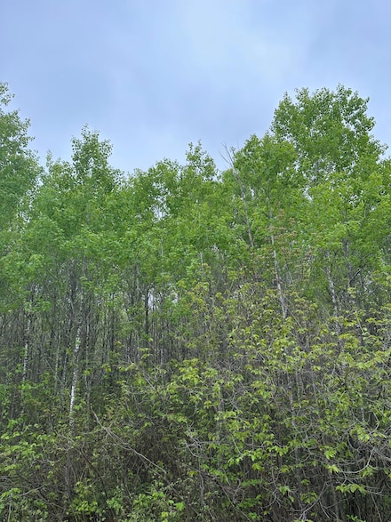 ON Burrows Lake Rd Unit Lot 8, Tomahawk, WI 54487