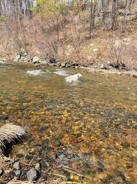 Lot 2 Village View St, Wilton, ME 04294