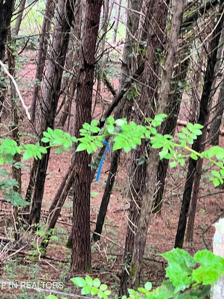 0 Lot 5 Willie Promore Rd, Decatur, TN 37322