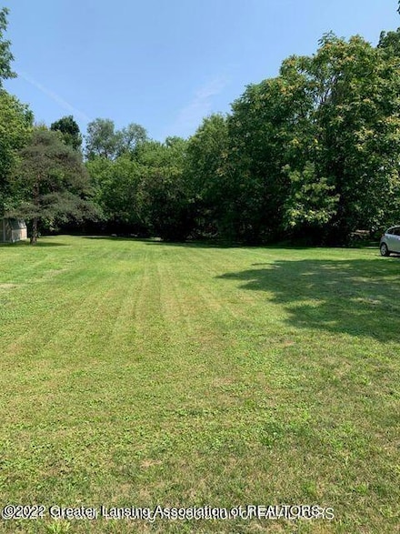 V/L (1036) N Larch St, Lansing, MI 48906