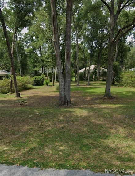 TBD SW 192nd Cir, Dunnellon, FL 34432