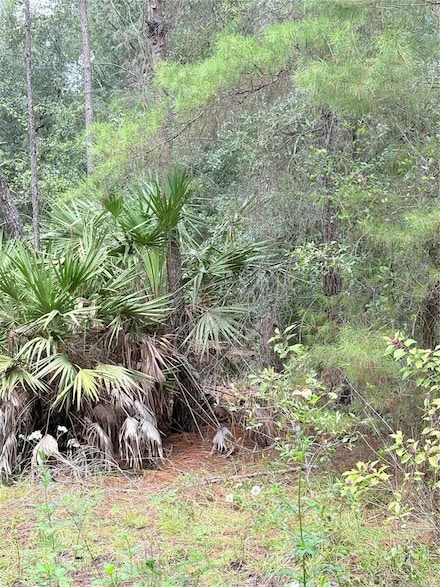 00 NE 237th Place, Fort Mc Coy, FL 32134