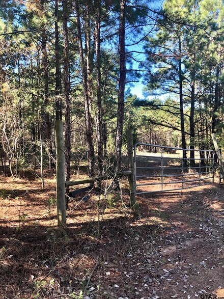 TBD Cr 3102, Winona, TX 75792