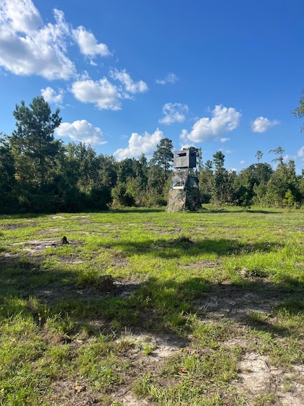 568 Fralix Rd, Smoaks, SC 29481