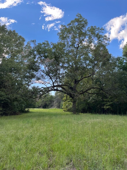 0 W Briar Lake Dr, Starkville, MS 39759