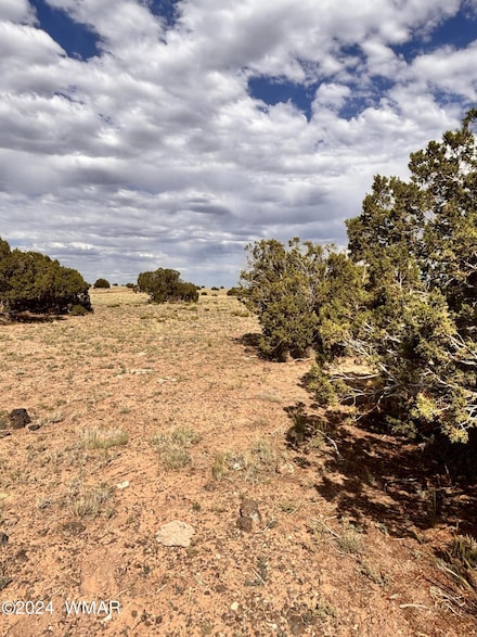 058A Thorn Ln, Concho, AZ 85924