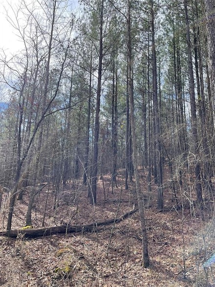 769 Timber Creek Trails South Xl, Broken Bow, OK 74728