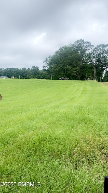 26 Lakeview Dr, Union, MS 39365