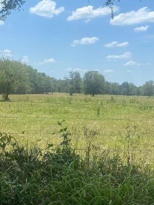 000 County Road 117, Bedias, TX 77831