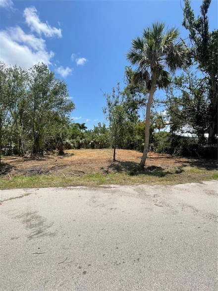 202 Charlotte St, Punta Gorda, FL 33950
