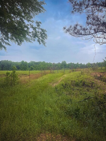 250 County Road 132, Vina, AL 35593