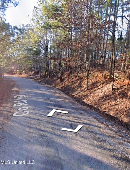 1047 County Rd, Dumas, MS 38625