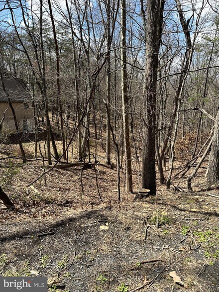 Lot 45 Deloris Rd, Basye, VA 22810